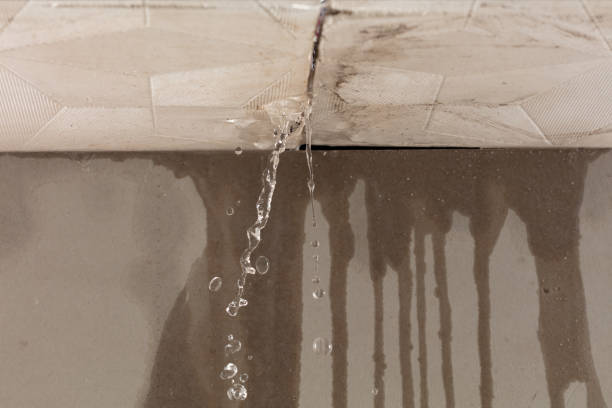 Professional Structural Drying technician working in Husum, WA